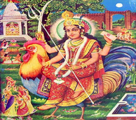 Cocks In Hinduism