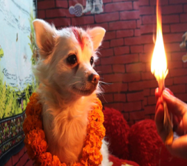 DOGS IN HINDUISM